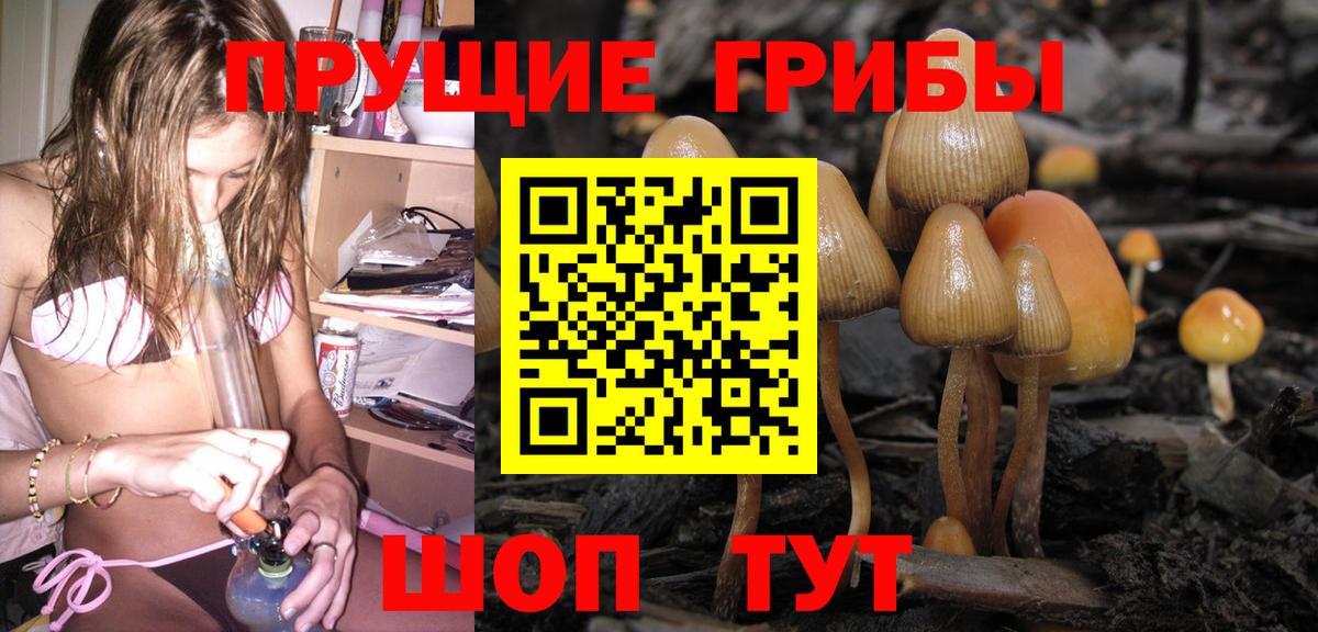 Галлюциногенные грибы Psilocybine cubensis  Вход с VPN  Луховицы 